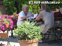 [P14] Si la alte mese se sarbatoreste ceva » foto by dorgo
 - 
<span class="allrVoted glyphicon glyphicon-heart hidden" id="av259836"></span>
<a class="m-l-10 hidden" id="sv259836" onclick="voting_Foto_DelVot(,259836,4761)" role="button">șterge vot <span class="glyphicon glyphicon-remove"></span></a>
<a id="v9259836" class=" c-red"  onclick="voting_Foto_SetVot(259836)" role="button"><span class="glyphicon glyphicon-heart-empty"></span> <b>LIKE</b> = Votează poza</a> <img class="hidden"  id="f259836W9" src="/imagini/loader.gif" border="0" /><span class="AjErrMes hidden" id="e259836ErM"></span>