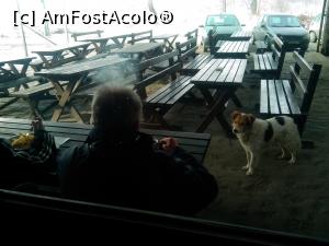[P13] Afara, pe terasa, e mai multa animatie ca-n interior » foto by dorgo
 - 
<span class="allrVoted glyphicon glyphicon-heart hidden" id="av829887"></span>
<a class="m-l-10 hidden" id="sv829887" onclick="voting_Foto_DelVot(,829887,4761)" role="button">șterge vot <span class="glyphicon glyphicon-remove"></span></a>
<a id="v9829887" class=" c-red"  onclick="voting_Foto_SetVot(829887)" role="button"><span class="glyphicon glyphicon-heart-empty"></span> <b>LIKE</b> = Votează poza</a> <img class="hidden"  id="f829887W9" src="/imagini/loader.gif" border="0" /><span class="AjErrMes hidden" id="e829887ErM"></span>