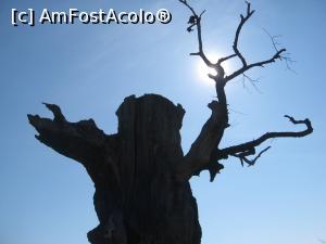 [P17] Soarele e inca sus pe cer, mai e timp si de-o " balaceala" , nu departe de Reghin, la baile sarate de la Ideciu de Jos » foto by dorgo
 - 
<span class="allrVoted glyphicon glyphicon-heart hidden" id="av1140824"></span>
<a class="m-l-10 hidden" id="sv1140824" onclick="voting_Foto_DelVot(,1140824,4761)" role="button">șterge vot <span class="glyphicon glyphicon-remove"></span></a>
<a id="v91140824" class=" c-red"  onclick="voting_Foto_SetVot(1140824)" role="button"><span class="glyphicon glyphicon-heart-empty"></span> <b>LIKE</b> = Votează poza</a> <img class="hidden"  id="f1140824W9" src="/imagini/loader.gif" border="0" /><span class="AjErrMes hidden" id="e1140824ErM"></span>