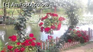 [P04] Intalnesti flori la fiecare pas » foto by dorgo
 - 
<span class="allrVoted glyphicon glyphicon-heart hidden" id="av1140811"></span>
<a class="m-l-10 hidden" id="sv1140811" onclick="voting_Foto_DelVot(,1140811,4761)" role="button">șterge vot <span class="glyphicon glyphicon-remove"></span></a>
<a id="v91140811" class=" c-red"  onclick="voting_Foto_SetVot(1140811)" role="button"><span class="glyphicon glyphicon-heart-empty"></span> <b>LIKE</b> = Votează poza</a> <img class="hidden"  id="f1140811W9" src="/imagini/loader.gif" border="0" /><span class="AjErrMes hidden" id="e1140811ErM"></span>