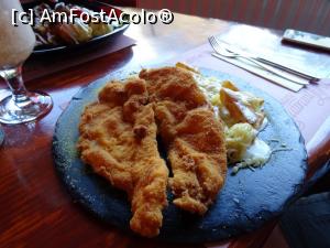[P10] Piept de pui vienez cu cartofi gratinați. » foto by tata123 🔱
 - 
<span class="allrVoted glyphicon glyphicon-heart hidden" id="av1185199"></span>
<a class="m-l-10 hidden" id="sv1185199" onclick="voting_Foto_DelVot(,1185199,4761)" role="button">șterge vot <span class="glyphicon glyphicon-remove"></span></a>
<a id="v91185199" class=" c-red"  onclick="voting_Foto_SetVot(1185199)" role="button"><span class="glyphicon glyphicon-heart-empty"></span> <b>LIKE</b> = Votează poza</a> <img class="hidden"  id="f1185199W9" src="/imagini/loader.gif" border="0" /><span class="AjErrMes hidden" id="e1185199ErM"></span>