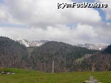 [P20] M-tii Piatra Craiului vazuti din sat Pestera, adica ce nu am vazut asta iarna. » foto by cc_iordachescu
 - 
<span class="allrVoted glyphicon glyphicon-heart hidden" id="av45055"></span>
<a class="m-l-10 hidden" id="sv45055" onclick="voting_Foto_DelVot(,45055,4764)" role="button">șterge vot <span class="glyphicon glyphicon-remove"></span></a>
<a id="v945055" class=" c-red"  onclick="voting_Foto_SetVot(45055)" role="button"><span class="glyphicon glyphicon-heart-empty"></span> <b>LIKE</b> = Votează poza</a> <img class="hidden"  id="f45055W9" src="/imagini/loader.gif" border="0" /><span class="AjErrMes hidden" id="e45055ErM"></span>