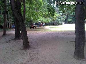 [P20] Morska gradina Varna - ponei aşteptând să fie călărit.  » foto by Dragoș_MD
 - 
<span class="allrVoted glyphicon glyphicon-heart hidden" id="av343099"></span>
<a class="m-l-10 hidden" id="sv343099" onclick="voting_Foto_DelVot(,343099,4765)" role="button">șterge vot <span class="glyphicon glyphicon-remove"></span></a>
<a id="v9343099" class=" c-red"  onclick="voting_Foto_SetVot(343099)" role="button"><span class="glyphicon glyphicon-heart-empty"></span> <b>LIKE</b> = Votează poza</a> <img class="hidden"  id="f343099W9" src="/imagini/loader.gif" border="0" /><span class="AjErrMes hidden" id="e343099ErM"></span>