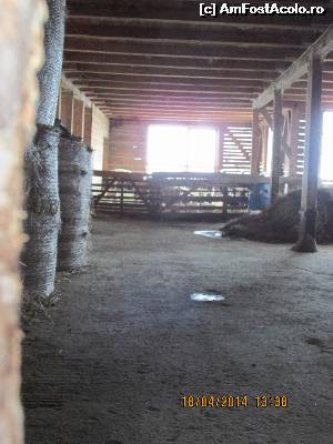 [P16] Si la oi era curat si se erau si niste mieluti. Tin minte ca acum 3 ani m-am bagat in iesle si m-am jucat cu vreo citiva. De data asta nu am gasit nici un ingrijitor care sa imi descuie.  » foto by adri-nico
 - 
<span class="allrVoted glyphicon glyphicon-heart hidden" id="av610266"></span>
<a class="m-l-10 hidden" id="sv610266" onclick="voting_Foto_DelVot(,610266,4769)" role="button">șterge vot <span class="glyphicon glyphicon-remove"></span></a>
<a id="v9610266" class=" c-red"  onclick="voting_Foto_SetVot(610266)" role="button"><span class="glyphicon glyphicon-heart-empty"></span> <b>LIKE</b> = Votează poza</a> <img class="hidden"  id="f610266W9" src="/imagini/loader.gif" border="0" /><span class="AjErrMes hidden" id="e610266ErM"></span>