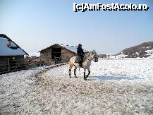 [P32] Galop cu Daria » foto by pepsi70ro
 - 
<span class="allrVoted glyphicon glyphicon-heart hidden" id="av304786"></span>
<a class="m-l-10 hidden" id="sv304786" onclick="voting_Foto_DelVot(,304786,4769)" role="button">șterge vot <span class="glyphicon glyphicon-remove"></span></a>
<a id="v9304786" class=" c-red"  onclick="voting_Foto_SetVot(304786)" role="button"><span class="glyphicon glyphicon-heart-empty"></span> <b>LIKE</b> = Votează poza</a> <img class="hidden"  id="f304786W9" src="/imagini/loader.gif" border="0" /><span class="AjErrMes hidden" id="e304786ErM"></span>
