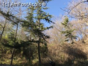 [P06] Descoperă Sunny Day - parcul micuţei staţiuni » foto by nicole33
 - 
<span class="allrVoted glyphicon glyphicon-heart hidden" id="av948398"></span>
<a class="m-l-10 hidden" id="sv948398" onclick="voting_Foto_DelVot(,948398,4773)" role="button">șterge vot <span class="glyphicon glyphicon-remove"></span></a>
<a id="v9948398" class=" c-red"  onclick="voting_Foto_SetVot(948398)" role="button"><span class="glyphicon glyphicon-heart-empty"></span> <b>LIKE</b> = Votează poza</a> <img class="hidden"  id="f948398W9" src="/imagini/loader.gif" border="0" /><span class="AjErrMes hidden" id="e948398ErM"></span>