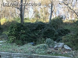 [P08] Descoperă Sunny Day - parcul micuţei staţiuni » foto by nicole33
 - 
<span class="allrVoted glyphicon glyphicon-heart hidden" id="av948400"></span>
<a class="m-l-10 hidden" id="sv948400" onclick="voting_Foto_DelVot(,948400,4773)" role="button">șterge vot <span class="glyphicon glyphicon-remove"></span></a>
<a id="v9948400" class=" c-red"  onclick="voting_Foto_SetVot(948400)" role="button"><span class="glyphicon glyphicon-heart-empty"></span> <b>LIKE</b> = Votează poza</a> <img class="hidden"  id="f948400W9" src="/imagini/loader.gif" border="0" /><span class="AjErrMes hidden" id="e948400ErM"></span>