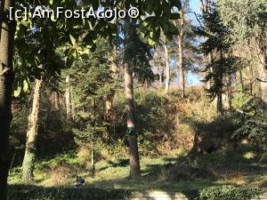[P09] Descoperă Sunny Day - parcul micuţei staţiuni » foto by nicole33
 - 
<span class="allrVoted glyphicon glyphicon-heart hidden" id="av948401"></span>
<a class="m-l-10 hidden" id="sv948401" onclick="voting_Foto_DelVot(,948401,4773)" role="button">șterge vot <span class="glyphicon glyphicon-remove"></span></a>
<a id="v9948401" class=" c-red"  onclick="voting_Foto_SetVot(948401)" role="button"><span class="glyphicon glyphicon-heart-empty"></span> <b>LIKE</b> = Votează poza</a> <img class="hidden"  id="f948401W9" src="/imagini/loader.gif" border="0" /><span class="AjErrMes hidden" id="e948401ErM"></span>