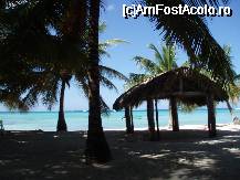 [P33] marea caraibelor vazuta printre palmierii de pe insula Saona » foto by Florina38*
 - 
<span class="allrVoted glyphicon glyphicon-heart hidden" id="av45476"></span>
<a class="m-l-10 hidden" id="sv45476" onclick="voting_Foto_DelVot(,45476,4781)" role="button">șterge vot <span class="glyphicon glyphicon-remove"></span></a>
<a id="v945476" class=" c-red"  onclick="voting_Foto_SetVot(45476)" role="button"><span class="glyphicon glyphicon-heart-empty"></span> <b>LIKE</b> = Votează poza</a> <img class="hidden"  id="f45476W9" src="/imagini/loader.gif" border="0" /><span class="AjErrMes hidden" id="e45476ErM"></span>