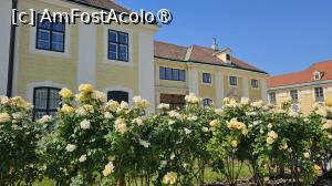 [P46] Quality Hotel Vienna – spre Schoenbrunn » foto by doina_c24
 - 
<span class="allrVoted glyphicon glyphicon-heart hidden" id="av1438984"></span>
<a class="m-l-10 hidden" id="sv1438984" onclick="voting_Foto_DelVot(,1438984,4784)" role="button">șterge vot <span class="glyphicon glyphicon-remove"></span></a>
<a id="v91438984" class=" c-red"  onclick="voting_Foto_SetVot(1438984)" role="button"><span class="glyphicon glyphicon-heart-empty"></span> <b>LIKE</b> = Votează poza</a> <img class="hidden"  id="f1438984W9" src="/imagini/loader.gif" border="0" /><span class="AjErrMes hidden" id="e1438984ErM"></span>