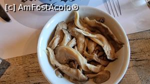 [P12] salata de hribi » foto by robert
 - 
<span class="allrVoted glyphicon glyphicon-heart hidden" id="av1276748"></span>
<a class="m-l-10 hidden" id="sv1276748" onclick="voting_Foto_DelVot(,1276748,4795)" role="button">șterge vot <span class="glyphicon glyphicon-remove"></span></a>
<a id="v91276748" class=" c-red"  onclick="voting_Foto_SetVot(1276748)" role="button"><span class="glyphicon glyphicon-heart-empty"></span> <b>LIKE</b> = Votează poza</a> <img class="hidden"  id="f1276748W9" src="/imagini/loader.gif" border="0" /><span class="AjErrMes hidden" id="e1276748ErM"></span>