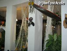 [P10] Plase pescaresti si plante » foto by romanitzaa
 - 
<span class="allrVoted glyphicon glyphicon-heart hidden" id="av184083"></span>
<a class="m-l-10 hidden" id="sv184083" onclick="voting_Foto_DelVot(,184083,4795)" role="button">șterge vot <span class="glyphicon glyphicon-remove"></span></a>
<a id="v9184083" class=" c-red"  onclick="voting_Foto_SetVot(184083)" role="button"><span class="glyphicon glyphicon-heart-empty"></span> <b>LIKE</b> = Votează poza</a> <img class="hidden"  id="f184083W9" src="/imagini/loader.gif" border="0" /><span class="AjErrMes hidden" id="e184083ErM"></span>