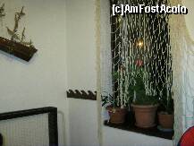 [P05] O plasa pescareasca pe post de perdea » foto by romanitzaa
 - 
<span class="allrVoted glyphicon glyphicon-heart hidden" id="av184076"></span>
<a class="m-l-10 hidden" id="sv184076" onclick="voting_Foto_DelVot(,184076,4795)" role="button">șterge vot <span class="glyphicon glyphicon-remove"></span></a>
<a id="v9184076" class=" c-red"  onclick="voting_Foto_SetVot(184076)" role="button"><span class="glyphicon glyphicon-heart-empty"></span> <b>LIKE</b> = Votează poza</a> <img class="hidden"  id="f184076W9" src="/imagini/loader.gif" border="0" /><span class="AjErrMes hidden" id="e184076ErM"></span>