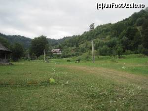 [P11] Iarba verde de Viseu.  » foto by senateo
 - 
<span class="allrVoted glyphicon glyphicon-heart hidden" id="av667224"></span>
<a class="m-l-10 hidden" id="sv667224" onclick="voting_Foto_DelVot(,667224,4807)" role="button">șterge vot <span class="glyphicon glyphicon-remove"></span></a>
<a id="v9667224" class=" c-red"  onclick="voting_Foto_SetVot(667224)" role="button"><span class="glyphicon glyphicon-heart-empty"></span> <b>LIKE</b> = Votează poza</a> <img class="hidden"  id="f667224W9" src="/imagini/loader.gif" border="0" /><span class="AjErrMes hidden" id="e667224ErM"></span>