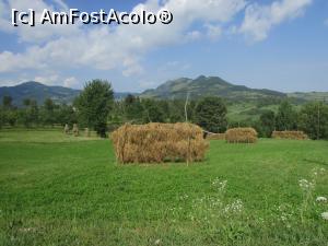 [P16] Peisaj maramureșean; între Botiza și Poienile Izei » foto by crismis
 - 
<span class="allrVoted glyphicon glyphicon-heart hidden" id="av798482"></span>
<a class="m-l-10 hidden" id="sv798482" onclick="voting_Foto_DelVot(,798482,4807)" role="button">șterge vot <span class="glyphicon glyphicon-remove"></span></a>
<a id="v9798482" class=" c-red"  onclick="voting_Foto_SetVot(798482)" role="button"><span class="glyphicon glyphicon-heart-empty"></span> <b>LIKE</b> = Votează poza</a> <img class="hidden"  id="f798482W9" src="/imagini/loader.gif" border="0" /><span class="AjErrMes hidden" id="e798482ErM"></span>