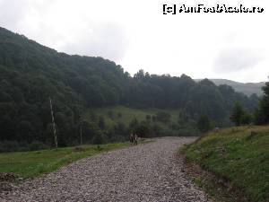 [P11] Drumul pavat cu piatră de terasament.  » foto by tata123 🔱
 - 
<span class="allrVoted glyphicon glyphicon-heart hidden" id="av676721"></span>
<a class="m-l-10 hidden" id="sv676721" onclick="voting_Foto_DelVot(,676721,4807)" role="button">șterge vot <span class="glyphicon glyphicon-remove"></span></a>
<a id="v9676721" class=" c-red"  onclick="voting_Foto_SetVot(676721)" role="button"><span class="glyphicon glyphicon-heart-empty"></span> <b>LIKE</b> = Votează poza</a> <img class="hidden"  id="f676721W9" src="/imagini/loader.gif" border="0" /><span class="AjErrMes hidden" id="e676721ErM"></span>