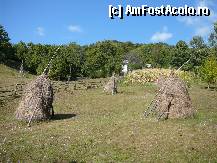 [P11] Una din casele din Plescioara, din partea izolata a satului » foto by Claudiu U.
 - 
<span class="allrVoted glyphicon glyphicon-heart hidden" id="av281112"></span>
<a class="m-l-10 hidden" id="sv281112" onclick="voting_Foto_DelVot(,281112,4816)" role="button">șterge vot <span class="glyphicon glyphicon-remove"></span></a>
<a id="v9281112" class=" c-red"  onclick="voting_Foto_SetVot(281112)" role="button"><span class="glyphicon glyphicon-heart-empty"></span> <b>LIKE</b> = Votează poza</a> <img class="hidden"  id="f281112W9" src="/imagini/loader.gif" border="0" /><span class="AjErrMes hidden" id="e281112ErM"></span>