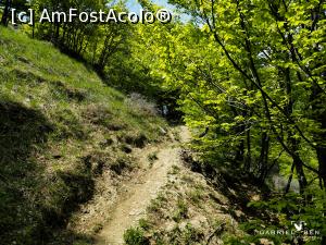 [P11] Cărarea în pădurea de fag » foto by Gabel2015
 - 
<span class="allrVoted glyphicon glyphicon-heart hidden" id="av1363193"></span>
<a class="m-l-10 hidden" id="sv1363193" onclick="voting_Foto_DelVot(,1363193,4816)" role="button">șterge vot <span class="glyphicon glyphicon-remove"></span></a>
<a id="v91363193" class=" c-red"  onclick="voting_Foto_SetVot(1363193)" role="button"><span class="glyphicon glyphicon-heart-empty"></span> <b>LIKE</b> = Votează poza</a> <img class="hidden"  id="f1363193W9" src="/imagini/loader.gif" border="0" /><span class="AjErrMes hidden" id="e1363193ErM"></span>