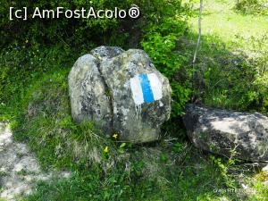 [P06] Primii trovanți, cu marcaj, cam la 2/3 din traseu » foto by Gabel2015
 - 
<span class="allrVoted glyphicon glyphicon-heart hidden" id="av1363188"></span>
<a class="m-l-10 hidden" id="sv1363188" onclick="voting_Foto_DelVot(,1363188,4816)" role="button">șterge vot <span class="glyphicon glyphicon-remove"></span></a>
<a id="v91363188" class=" c-red"  onclick="voting_Foto_SetVot(1363188)" role="button"><span class="glyphicon glyphicon-heart-empty"></span> <b>LIKE</b> = Votează poza</a> <img class="hidden"  id="f1363188W9" src="/imagini/loader.gif" border="0" /><span class="AjErrMes hidden" id="e1363188ErM"></span>