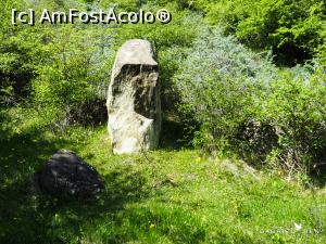 [P08] Primii trovanți » foto by Gabel2015
 - 
<span class="allrVoted glyphicon glyphicon-heart hidden" id="av1363190"></span>
<a class="m-l-10 hidden" id="sv1363190" onclick="voting_Foto_DelVot(,1363190,4816)" role="button">șterge vot <span class="glyphicon glyphicon-remove"></span></a>
<a id="v91363190" class=" c-red"  onclick="voting_Foto_SetVot(1363190)" role="button"><span class="glyphicon glyphicon-heart-empty"></span> <b>LIKE</b> = Votează poza</a> <img class="hidden"  id="f1363190W9" src="/imagini/loader.gif" border="0" /><span class="AjErrMes hidden" id="e1363190ErM"></span>