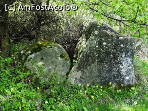 [P09] Primii trovanți » foto by Gabel2015
 - 
<span class="allrVoted glyphicon glyphicon-heart hidden" id="av1363191"></span>
<a class="m-l-10 hidden" id="sv1363191" onclick="voting_Foto_DelVot(,1363191,4816)" role="button">șterge vot <span class="glyphicon glyphicon-remove"></span></a>
<a id="v91363191" class=" c-red"  onclick="voting_Foto_SetVot(1363191)" role="button"><span class="glyphicon glyphicon-heart-empty"></span> <b>LIKE</b> = Votează poza</a> <img class="hidden"  id="f1363191W9" src="/imagini/loader.gif" border="0" /><span class="AjErrMes hidden" id="e1363191ErM"></span>