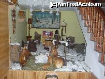 [P05] Decor foarte apreciat de micuti » foto by david
 - 
<span class="allrVoted glyphicon glyphicon-heart hidden" id="av178163"></span>
<a class="m-l-10 hidden" id="sv178163" onclick="voting_Foto_DelVot(,178163,4822)" role="button">șterge vot <span class="glyphicon glyphicon-remove"></span></a>
<a id="v9178163" class=" c-red"  onclick="voting_Foto_SetVot(178163)" role="button"><span class="glyphicon glyphicon-heart-empty"></span> <b>LIKE</b> = Votează poza</a> <img class="hidden"  id="f178163W9" src="/imagini/loader.gif" border="0" /><span class="AjErrMes hidden" id="e178163ErM"></span>