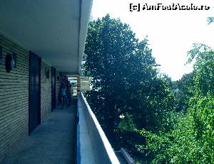 [P07] Terasa de acces in camerele de la etajul hotelului Belvedere, o frumoasa intrare plina de verdeata la inaltime.  » foto by calatorul
 - 
<span class="allrVoted glyphicon glyphicon-heart hidden" id="av682336"></span>
<a class="m-l-10 hidden" id="sv682336" onclick="voting_Foto_DelVot(,682336,4834)" role="button">șterge vot <span class="glyphicon glyphicon-remove"></span></a>
<a id="v9682336" class=" c-red"  onclick="voting_Foto_SetVot(682336)" role="button"><span class="glyphicon glyphicon-heart-empty"></span> <b>LIKE</b> = Votează poza</a> <img class="hidden"  id="f682336W9" src="/imagini/loader.gif" border="0" /><span class="AjErrMes hidden" id="e682336ErM"></span>