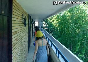 [P08] Toate camerele hotelului Belvedere au acces dintr. o terasa in aer liber inconjurata de vegetatie.  » foto by calatorul
 - 
<span class="allrVoted glyphicon glyphicon-heart hidden" id="av682337"></span>
<a class="m-l-10 hidden" id="sv682337" onclick="voting_Foto_DelVot(,682337,4834)" role="button">șterge vot <span class="glyphicon glyphicon-remove"></span></a>
<a id="v9682337" class=" c-red"  onclick="voting_Foto_SetVot(682337)" role="button"><span class="glyphicon glyphicon-heart-empty"></span> <b>LIKE</b> = Votează poza</a> <img class="hidden"  id="f682337W9" src="/imagini/loader.gif" border="0" /><span class="AjErrMes hidden" id="e682337ErM"></span>