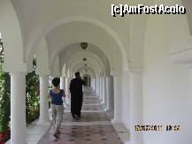 [P13] Spre Academie » foto by BEBEPETRESCU
 - 
<span class="allrVoted glyphicon glyphicon-heart hidden" id="av284871"></span>
<a class="m-l-10 hidden" id="sv284871" onclick="voting_Foto_DelVot(,284871,4842)" role="button">șterge vot <span class="glyphicon glyphicon-remove"></span></a>
<a id="v9284871" class=" c-red"  onclick="voting_Foto_SetVot(284871)" role="button"><span class="glyphicon glyphicon-heart-empty"></span> <b>LIKE</b> = Votează poza</a> <img class="hidden"  id="f284871W9" src="/imagini/loader.gif" border="0" /><span class="AjErrMes hidden" id="e284871ErM"></span>