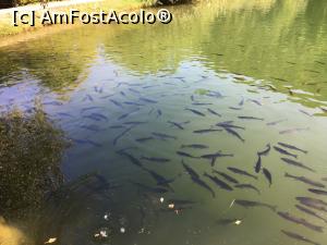 [P37] Lacul » foto by AZE
 - 
<span class="allrVoted glyphicon glyphicon-heart hidden" id="av1116321"></span>
<a class="m-l-10 hidden" id="sv1116321" onclick="voting_Foto_DelVot(,1116321,4842)" role="button">șterge vot <span class="glyphicon glyphicon-remove"></span></a>
<a id="v91116321" class=" c-red"  onclick="voting_Foto_SetVot(1116321)" role="button"><span class="glyphicon glyphicon-heart-empty"></span> <b>LIKE</b> = Votează poza</a> <img class="hidden"  id="f1116321W9" src="/imagini/loader.gif" border="0" /><span class="AjErrMes hidden" id="e1116321ErM"></span>