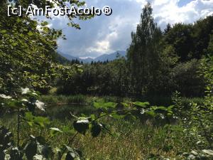 [P39]  -- <small>// FĂRĂ DESCRIERE</small> » foto by AZE
 - 
<span class="allrVoted glyphicon glyphicon-heart hidden" id="av1116323"></span>
<a class="m-l-10 hidden" id="sv1116323" onclick="voting_Foto_DelVot(,1116323,4842)" role="button">șterge vot <span class="glyphicon glyphicon-remove"></span></a>
<a id="v91116323" class=" c-red"  onclick="voting_Foto_SetVot(1116323)" role="button"><span class="glyphicon glyphicon-heart-empty"></span> <b>LIKE</b> = Votează poza</a> <img class="hidden"  id="f1116323W9" src="/imagini/loader.gif" border="0" /><span class="AjErrMes hidden" id="e1116323ErM"></span>