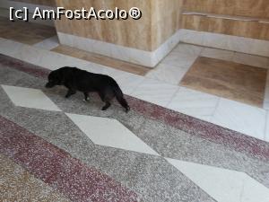 [P01] <strong>Mănăstirea Br&acirc;ncoveanu [S&acirc;mbăta de Sus]</strong> » foto by ⭐ValentinB_88⭐
 - 
<span class="allrVoted glyphicon glyphicon-heart hidden" id="av1235905"></span>
<a class="m-l-10 hidden" id="sv1235905" onclick="voting_Foto_DelVot(,1235905,4842)" role="button">șterge vot <span class="glyphicon glyphicon-remove"></span></a>
<a id="v91235905" class=" c-red"  onclick="voting_Foto_SetVot(1235905)" role="button"><span class="glyphicon glyphicon-heart-empty"></span> <b>LIKE</b> = Votează poza</a> <img class="hidden"  id="f1235905W9" src="/imagini/loader.gif" border="0" /><span class="AjErrMes hidden" id="e1235905ErM"></span>