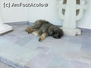 [P15] <strong>Mănăstirea Br&acirc;ncoveanu [S&acirc;mbăta de Sus]</strong> » foto by ⭐ValentinB_88⭐
 - 
<span class="allrVoted glyphicon glyphicon-heart hidden" id="av1235919"></span>
<a class="m-l-10 hidden" id="sv1235919" onclick="voting_Foto_DelVot(,1235919,4842)" role="button">șterge vot <span class="glyphicon glyphicon-remove"></span></a>
<a id="v91235919" class=" c-red"  onclick="voting_Foto_SetVot(1235919)" role="button"><span class="glyphicon glyphicon-heart-empty"></span> <b>LIKE</b> = Votează poza</a> <img class="hidden"  id="f1235919W9" src="/imagini/loader.gif" border="0" /><span class="AjErrMes hidden" id="e1235919ErM"></span>