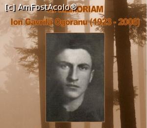 [P51] Preluat internet » foto by Michi
 - 
<span class="allrVoted glyphicon glyphicon-heart hidden" id="av1142896"></span>
<a class="m-l-10 hidden" id="sv1142896" onclick="voting_Foto_DelVot(,1142896,4842)" role="button">șterge vot <span class="glyphicon glyphicon-remove"></span></a>
<a id="v91142896" class=" c-red"  onclick="voting_Foto_SetVot(1142896)" role="button"><span class="glyphicon glyphicon-heart-empty"></span> <b>LIKE</b> = Votează poza</a> <img class="hidden"  id="f1142896W9" src="/imagini/loader.gif" border="0" /><span class="AjErrMes hidden" id="e1142896ErM"></span>