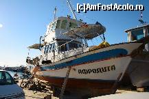[P19] am gasit-o pe afrodita. cam batrana si ruginita » foto by MANDACHE
 - 
<span class="allrVoted glyphicon glyphicon-heart hidden" id="av213038"></span>
<a class="m-l-10 hidden" id="sv213038" onclick="voting_Foto_DelVot(,213038,4850)" role="button">șterge vot <span class="glyphicon glyphicon-remove"></span></a>
<a id="v9213038" class=" c-red"  onclick="voting_Foto_SetVot(213038)" role="button"><span class="glyphicon glyphicon-heart-empty"></span> <b>LIKE</b> = Votează poza</a> <img class="hidden"  id="f213038W9" src="/imagini/loader.gif" border="0" /><span class="AjErrMes hidden" id="e213038ErM"></span>