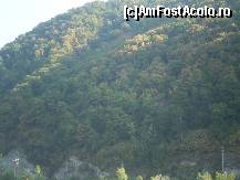 [P30] Pădurea peste Olt la Călimăneşti-Căciulata !!! » foto by RobertCodescu
 - 
<span class="allrVoted glyphicon glyphicon-heart hidden" id="av269683"></span>
<a class="m-l-10 hidden" id="sv269683" onclick="voting_Foto_DelVot(,269683,4859)" role="button">șterge vot <span class="glyphicon glyphicon-remove"></span></a>
<a id="v9269683" class=" c-red"  onclick="voting_Foto_SetVot(269683)" role="button"><span class="glyphicon glyphicon-heart-empty"></span> <b>LIKE</b> = Votează poza</a> <img class="hidden"  id="f269683W9" src="/imagini/loader.gif" border="0" /><span class="AjErrMes hidden" id="e269683ErM"></span>