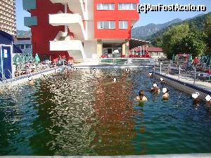 [P31] 2. Ștrandul Hotelului Oltul - A treia piscină din incinta ștrandului este cea exterioară.  » foto by Floryn81
 - 
<span class="allrVoted glyphicon glyphicon-heart hidden" id="av680488"></span>
<a class="m-l-10 hidden" id="sv680488" onclick="voting_Foto_DelVot(,680488,4859)" role="button">șterge vot <span class="glyphicon glyphicon-remove"></span></a>
<a id="v9680488" class=" c-red"  onclick="voting_Foto_SetVot(680488)" role="button"><span class="glyphicon glyphicon-heart-empty"></span> <b>LIKE</b> = Votează poza</a> <img class="hidden"  id="f680488W9" src="/imagini/loader.gif" border="0" /><span class="AjErrMes hidden" id="e680488ErM"></span>