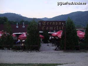 [P42] 4. Piscina de la Terasa Camelot - Am mâncat aici și am aruncat o privire către piscina din vecinătate.  » foto by Floryn81
 - 
<span class="allrVoted glyphicon glyphicon-heart hidden" id="av680499"></span>
<a class="m-l-10 hidden" id="sv680499" onclick="voting_Foto_DelVot(,680499,4859)" role="button">șterge vot <span class="glyphicon glyphicon-remove"></span></a>
<a id="v9680499" class=" c-red"  onclick="voting_Foto_SetVot(680499)" role="button"><span class="glyphicon glyphicon-heart-empty"></span> <b>LIKE</b> = Votează poza</a> <img class="hidden"  id="f680499W9" src="/imagini/loader.gif" border="0" /><span class="AjErrMes hidden" id="e680499ErM"></span>