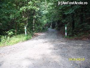 [P17] Intrarea in Parcul Naționa Cozia. Punct de plecare spre Cascada Lotrișor (2,8 km).  » foto by puiutea
 - 
<span class="allrVoted glyphicon glyphicon-heart hidden" id="av676206"></span>
<a class="m-l-10 hidden" id="sv676206" onclick="voting_Foto_DelVot(,676206,4859)" role="button">șterge vot <span class="glyphicon glyphicon-remove"></span></a>
<a id="v9676206" class=" c-red"  onclick="voting_Foto_SetVot(676206)" role="button"><span class="glyphicon glyphicon-heart-empty"></span> <b>LIKE</b> = Votează poza</a> <img class="hidden"  id="f676206W9" src="/imagini/loader.gif" border="0" /><span class="AjErrMes hidden" id="e676206ErM"></span>