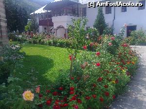 [P08] Mânăstirea Cozia - flori în curtea mânăstirii » foto by costy69*
 - 
<span class="allrVoted glyphicon glyphicon-heart hidden" id="av600889"></span>
<a class="m-l-10 hidden" id="sv600889" onclick="voting_Foto_DelVot(,600889,4859)" role="button">șterge vot <span class="glyphicon glyphicon-remove"></span></a>
<a id="v9600889" class=" c-red"  onclick="voting_Foto_SetVot(600889)" role="button"><span class="glyphicon glyphicon-heart-empty"></span> <b>LIKE</b> = Votează poza</a> <img class="hidden"  id="f600889W9" src="/imagini/loader.gif" border="0" /><span class="AjErrMes hidden" id="e600889ErM"></span>