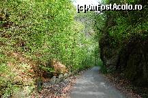 [P04] Drumul forestier catre cascada Lotrisorului » foto by paunflorin
 - 
<span class="allrVoted glyphicon glyphicon-heart hidden" id="av46976"></span>
<a class="m-l-10 hidden" id="sv46976" onclick="voting_Foto_DelVot(,46976,4859)" role="button">șterge vot <span class="glyphicon glyphicon-remove"></span></a>
<a id="v946976" class=" c-red"  onclick="voting_Foto_SetVot(46976)" role="button"><span class="glyphicon glyphicon-heart-empty"></span> <b>LIKE</b> = Votează poza</a> <img class="hidden"  id="f46976W9" src="/imagini/loader.gif" border="0" /><span class="AjErrMes hidden" id="e46976ErM"></span>