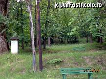 [P09] Un parc dezolant » foto by cristisch2003
 - 
<span class="allrVoted glyphicon glyphicon-heart hidden" id="av419511"></span>
<a class="m-l-10 hidden" id="sv419511" onclick="voting_Foto_DelVot(,419511,4859)" role="button">șterge vot <span class="glyphicon glyphicon-remove"></span></a>
<a id="v9419511" class=" c-red"  onclick="voting_Foto_SetVot(419511)" role="button"><span class="glyphicon glyphicon-heart-empty"></span> <b>LIKE</b> = Votează poza</a> <img class="hidden"  id="f419511W9" src="/imagini/loader.gif" border="0" /><span class="AjErrMes hidden" id="e419511ErM"></span>