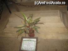 [P15] Mormantul voievodului Mircea si a Teofanei, mama lui Mihai Viteazu » foto by dorgo
 - 
<span class="allrVoted glyphicon glyphicon-heart hidden" id="av167702"></span>
<a class="m-l-10 hidden" id="sv167702" onclick="voting_Foto_DelVot(,167702,4859)" role="button">șterge vot <span class="glyphicon glyphicon-remove"></span></a>
<a id="v9167702" class=" c-red"  onclick="voting_Foto_SetVot(167702)" role="button"><span class="glyphicon glyphicon-heart-empty"></span> <b>LIKE</b> = Votează poza</a> <img class="hidden"  id="f167702W9" src="/imagini/loader.gif" border="0" /><span class="AjErrMes hidden" id="e167702ErM"></span>