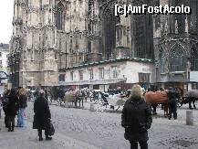[P10] totul central, lângă catedrala Sf. Ștefan » foto by Larissa
 - 
<span class="allrVoted glyphicon glyphicon-heart hidden" id="av274456"></span>
<a class="m-l-10 hidden" id="sv274456" onclick="voting_Foto_DelVot(,274456,4865)" role="button">șterge vot <span class="glyphicon glyphicon-remove"></span></a>
<a id="v9274456" class=" c-red"  onclick="voting_Foto_SetVot(274456)" role="button"><span class="glyphicon glyphicon-heart-empty"></span> <b>LIKE</b> = Votează poza</a> <img class="hidden"  id="f274456W9" src="/imagini/loader.gif" border="0" /><span class="AjErrMes hidden" id="e274456ErM"></span>