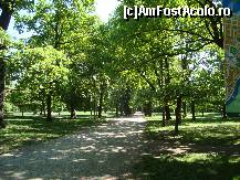 [P30] Si pasarelele se intreceau in ciripit! » foto by balasa violeta
 - 
<span class="allrVoted glyphicon glyphicon-heart hidden" id="av317238"></span>
<a class="m-l-10 hidden" id="sv317238" onclick="voting_Foto_DelVot(,317238,4865)" role="button">șterge vot <span class="glyphicon glyphicon-remove"></span></a>
<a id="v9317238" class=" c-red"  onclick="voting_Foto_SetVot(317238)" role="button"><span class="glyphicon glyphicon-heart-empty"></span> <b>LIKE</b> = Votează poza</a> <img class="hidden"  id="f317238W9" src="/imagini/loader.gif" border="0" /><span class="AjErrMes hidden" id="e317238ErM"></span>