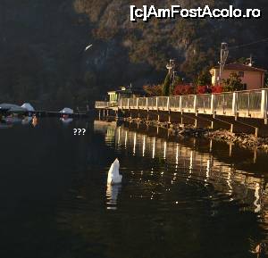 [P26] cautand pe fundul lacului Lugano » foto by cristian pinte
 - 
<span class="allrVoted glyphicon glyphicon-heart hidden" id="av691988"></span>
<a class="m-l-10 hidden" id="sv691988" onclick="voting_Foto_DelVot(,691988,4871)" role="button">șterge vot <span class="glyphicon glyphicon-remove"></span></a>
<a id="v9691988" class=" c-red"  onclick="voting_Foto_SetVot(691988)" role="button"><span class="glyphicon glyphicon-heart-empty"></span> <b>LIKE</b> = Votează poza</a> <img class="hidden"  id="f691988W9" src="/imagini/loader.gif" border="0" /><span class="AjErrMes hidden" id="e691988ErM"></span>