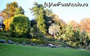[P03] gradina botanica de la vila Carlotta » foto by cristian pinte
 - 
<span class="allrVoted glyphicon glyphicon-heart hidden" id="av691965"></span>
<a class="m-l-10 hidden" id="sv691965" onclick="voting_Foto_DelVot(,691965,4871)" role="button">șterge vot <span class="glyphicon glyphicon-remove"></span></a>
<a id="v9691965" class=" c-red"  onclick="voting_Foto_SetVot(691965)" role="button"><span class="glyphicon glyphicon-heart-empty"></span> <b>LIKE</b> = Votează poza</a> <img class="hidden"  id="f691965W9" src="/imagini/loader.gif" border="0" /><span class="AjErrMes hidden" id="e691965ErM"></span>