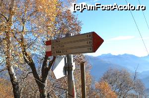 [P31] mostre de indicatoare » foto by cristian pinte
 - 
<span class="allrVoted glyphicon glyphicon-heart hidden" id="av691993"></span>
<a class="m-l-10 hidden" id="sv691993" onclick="voting_Foto_DelVot(,691993,4871)" role="button">șterge vot <span class="glyphicon glyphicon-remove"></span></a>
<a id="v9691993" class=" c-red"  onclick="voting_Foto_SetVot(691993)" role="button"><span class="glyphicon glyphicon-heart-empty"></span> <b>LIKE</b> = Votează poza</a> <img class="hidden"  id="f691993W9" src="/imagini/loader.gif" border="0" /><span class="AjErrMes hidden" id="e691993ErM"></span>