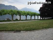 [P10] villa melzi gardens » foto by chucky31*
 - 
<span class="allrVoted glyphicon glyphicon-heart hidden" id="av205030"></span>
<a class="m-l-10 hidden" id="sv205030" onclick="voting_Foto_DelVot(,205030,4871)" role="button">șterge vot <span class="glyphicon glyphicon-remove"></span></a>
<a id="v9205030" class=" c-red"  onclick="voting_Foto_SetVot(205030)" role="button"><span class="glyphicon glyphicon-heart-empty"></span> <b>LIKE</b> = Votează poza</a> <img class="hidden"  id="f205030W9" src="/imagini/loader.gif" border="0" /><span class="AjErrMes hidden" id="e205030ErM"></span>