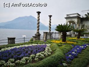 [P13] Varenna; Villa Monastero » foto by crismis
 - 
<span class="allrVoted glyphicon glyphicon-heart hidden" id="av1300177"></span>
<a class="m-l-10 hidden" id="sv1300177" onclick="voting_Foto_DelVot(,1300177,4871)" role="button">șterge vot <span class="glyphicon glyphicon-remove"></span></a>
<a id="v91300177" class=" c-red"  onclick="voting_Foto_SetVot(1300177)" role="button"><span class="glyphicon glyphicon-heart-empty"></span> <b>LIKE</b> = Votează poza</a> <img class="hidden"  id="f1300177W9" src="/imagini/loader.gif" border="0" /><span class="AjErrMes hidden" id="e1300177ErM"></span>